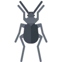 Free Beetle Bug Insect Icon