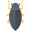 Free Beetle Bug Insect Icon