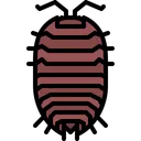 Free Beetle  Icon