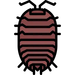 Free Beetle  Icon