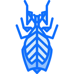 Free Beetle  Icon