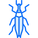 Free Beetle  Icon