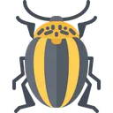 Free Beetle  Icon