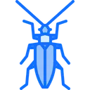 Free Beetle Bug Insect Icon