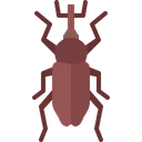 Free Beetle  Icon