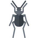 Free Beetle Bug Insect Icon