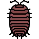Free Beetle Bug Insect Icon
