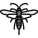 Free Beetle Bug Insect Icon