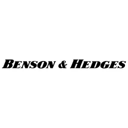 Free Benson Logo Icon