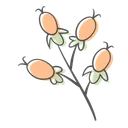 Free Berries Flower Plant Icon