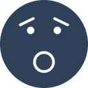 Free Besorgt Emoticons Smiley Symbol