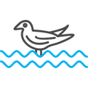 Free Bird  Symbol