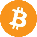 Free Bitcoin Logo Online Icon