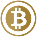 Free Bitcoin Pay Payment Icon
