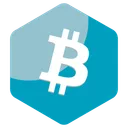 Free Bitcoin Blockchain Cryptocurrency Icon