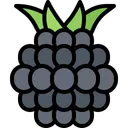 Free Blackberry  Icon