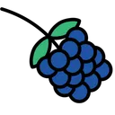 Free Blackberry Icon