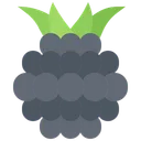 Free Blackberry  Icon