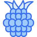 Free Blackberry Fruit Food Icon