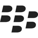 Free Blackberry Social Media Logo Logo Icon