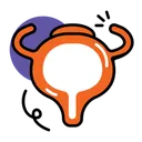 Free Bladder Icon