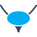 Free Bladder  Icon