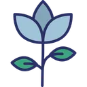 Free Bloom  Icon