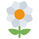 Free Blossom Daizy Flower Icon