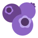 Free Blueberries  Icon