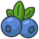 Free Blueberry  Icon