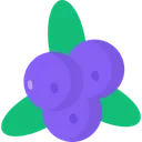 Free Blueberry  Icon