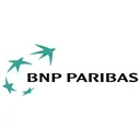 Free Bnp Paribas Company Icon