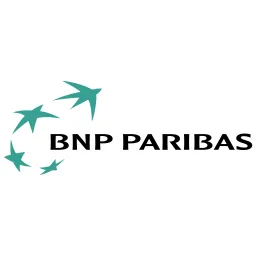 Free Bnp Logo Icon