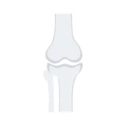 Free Bone Joint  Icon