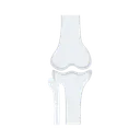 Free Bone Joint  Icon