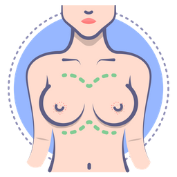 Icon For Breast,boobs Royalty Free SVG, Cliparts, Vectors, and Stock  Illustration. Image 175256674.