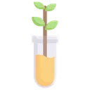 Free Botany Experiment  Icon