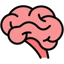 Free Brain Cerebellum Endocrine Icon