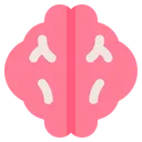 Free Brain  Icon