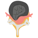 Free Brain With Spinal Spinal Cord Anatomy Neurology Icon