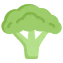 Free Broccoli  Icon