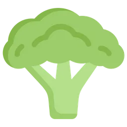 Free Broccoli  Icon