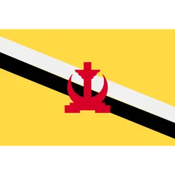 Free Brunei Flag Icon