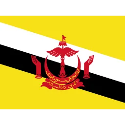 Free Brunei Flag Icon