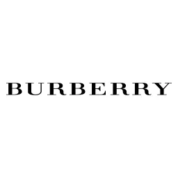 Free Burberry Logo Icon