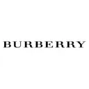 Free Burberry Brand Company Icon