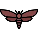 Free Butterfly Beetle Bug Icon