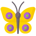 Free Butterfly  Icon