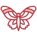 Free Butterfly  Icon