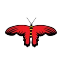 Free Butterfly Moth Bug Icon